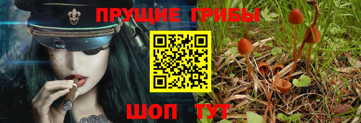 Крымск  Галлюциногенные грибы мухоморы  Вход с VPN  Галлюциногенные грибы прущие грибы 
